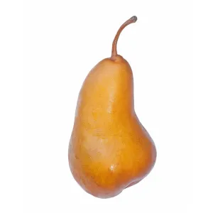 Certified Organic Bosc Pears