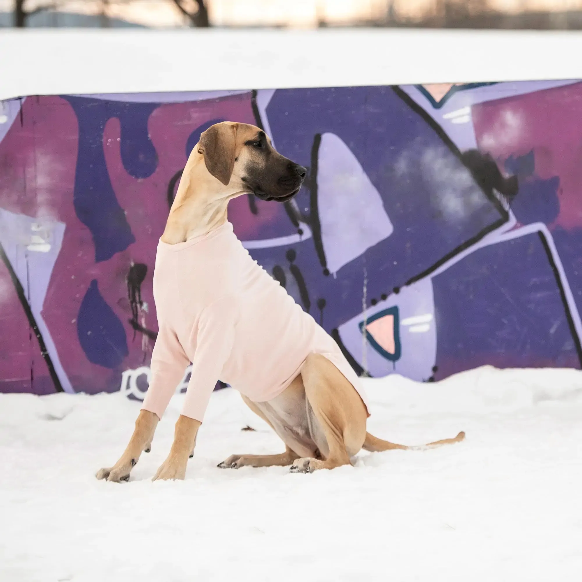 Dog Micro Polar Fleece Base Layer with front legs - Pink