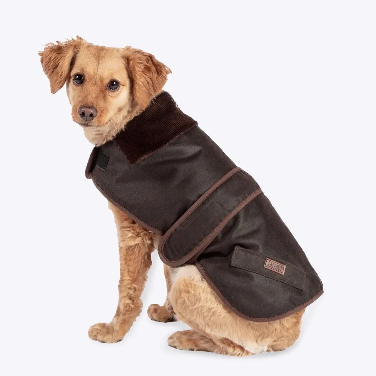 Fat Face Waxed Dog Coat