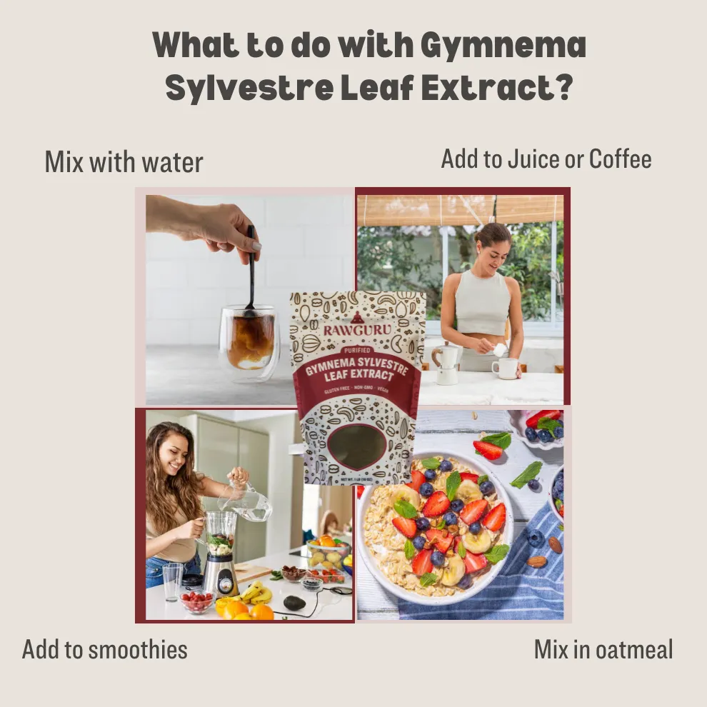 Gymnema Sylvestre Leaf Extract - 16 oz