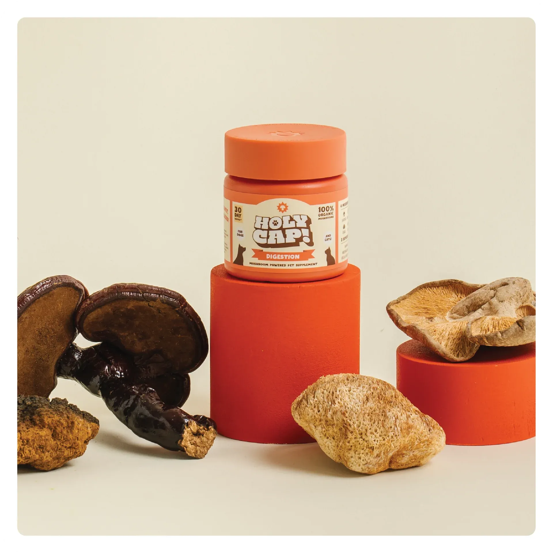 Holy Cap Medicinal Mushroom Supplement for Dogs (Digestion)