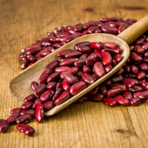 Kidney Beans Dark Red Organic