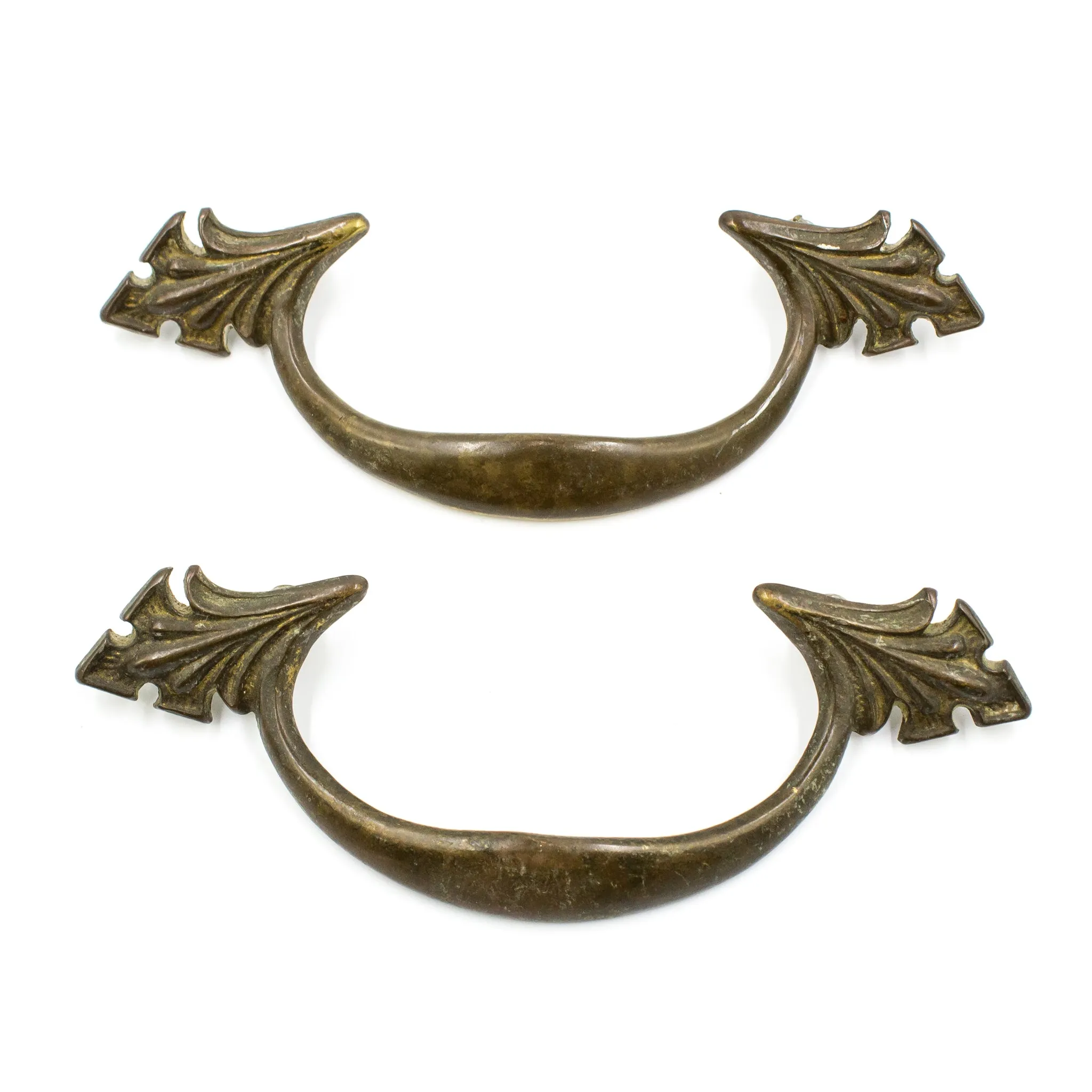 Nouveau Curved Brass Pulls with Leaves