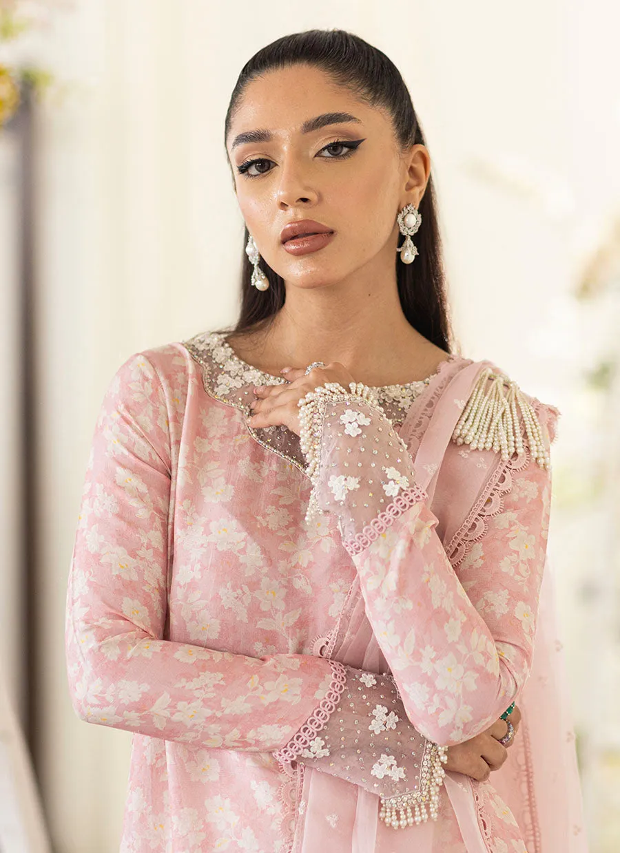 Olea Blush Silk Shirt And Pre-Draped Dupatta