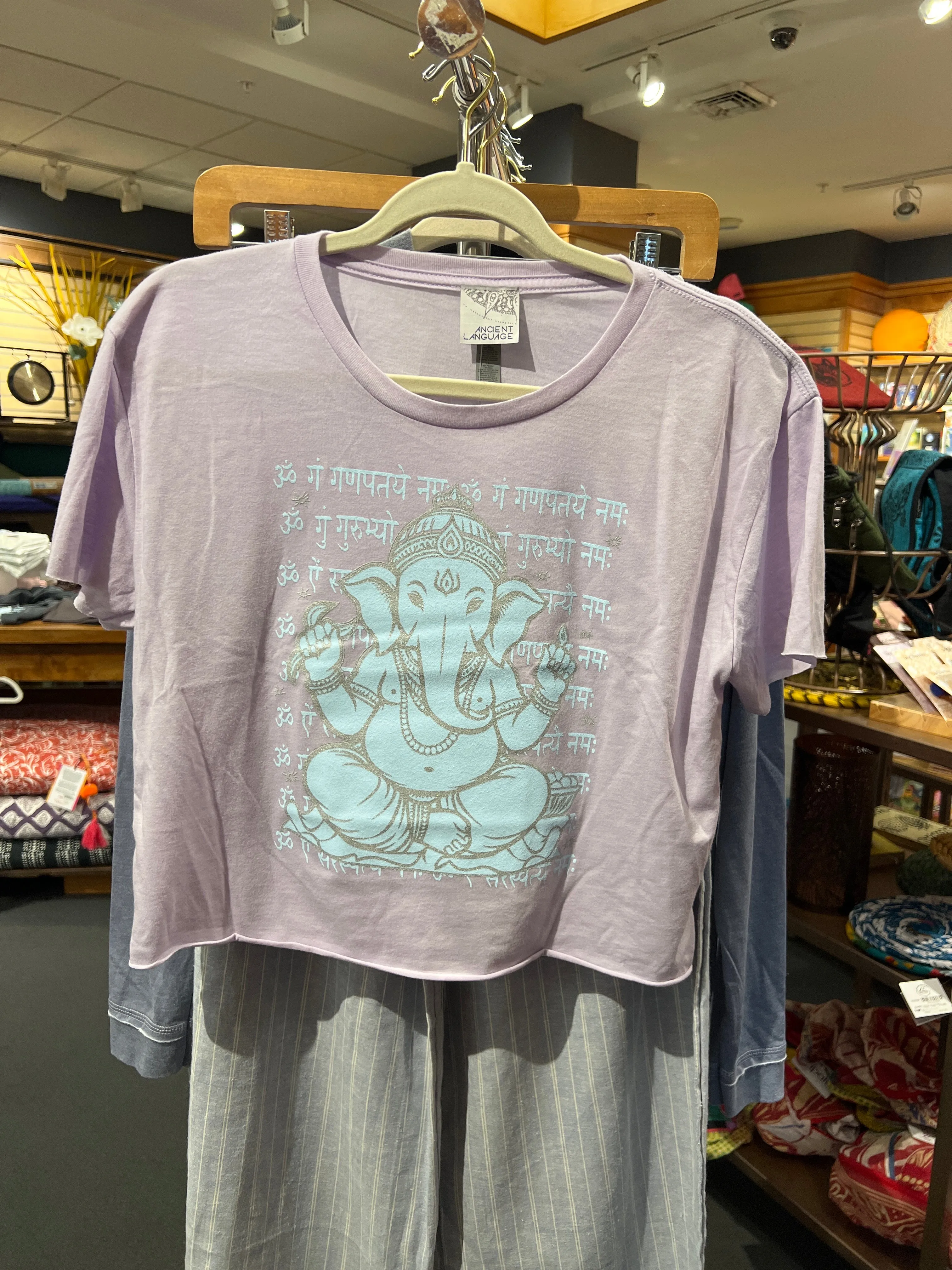 Vintage Ganesh Sanskrit Festival Crop tee