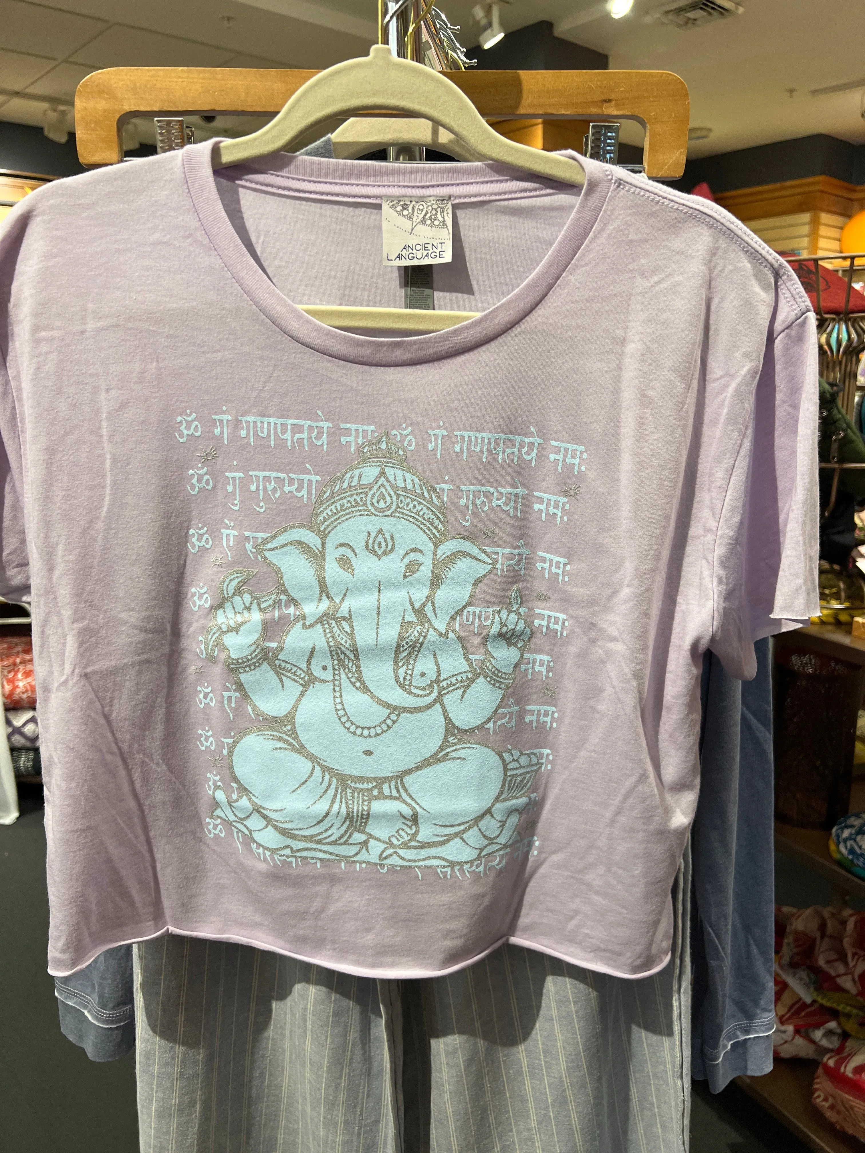 Vintage Ganesh Sanskrit Festival Crop tee