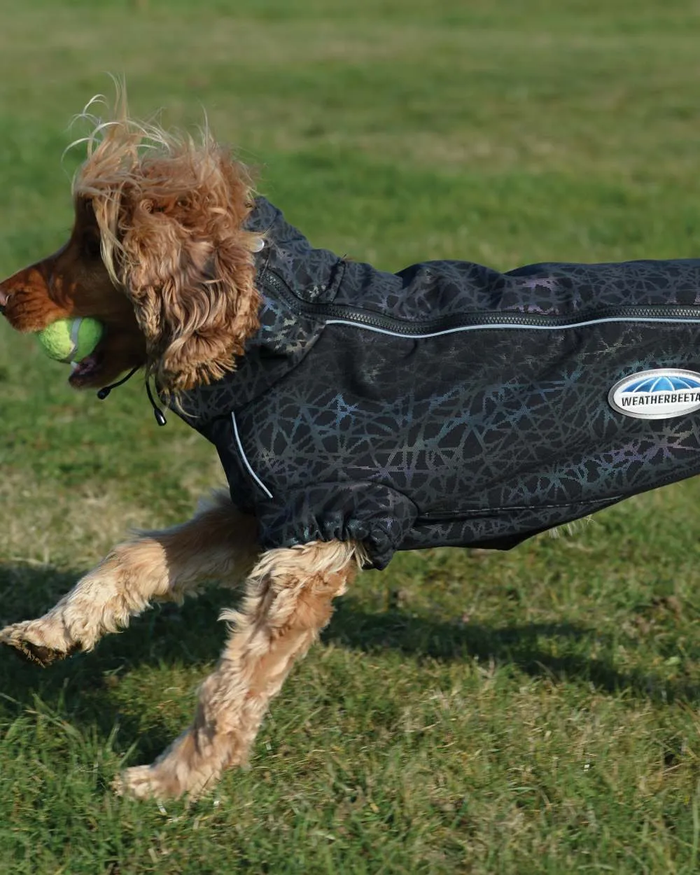 WeatherBeeta ComFiTec Reflective Print Active Dog Coat